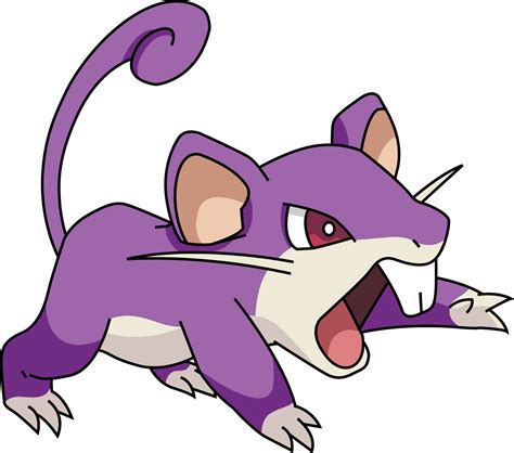 Rattata